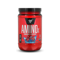 BSN Amino X Muscle Recovery & Endurance (30 Servings)