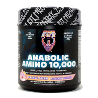 Healthy Fit Anabolic Amino 10000